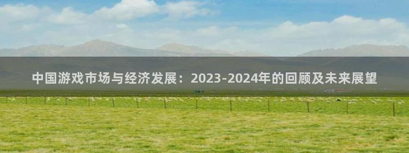 bg大游电子商务有限公司怎么样啊：中国游戏市场与经济发展：2023-2024年的回顾及未来展望