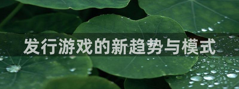bg大游子经理人读后感：发行游戏的新趋势与模式