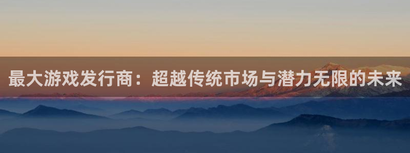 bg大游官网登录注册不了怎么回事：最大游戏发行商：超越传统市场与潜力无限的未来