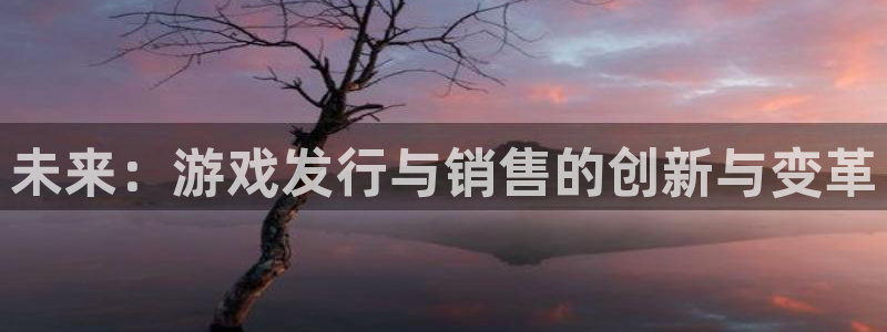 bg大游官网登录注册失败：未来：游戏发行与销售的创新与变革
