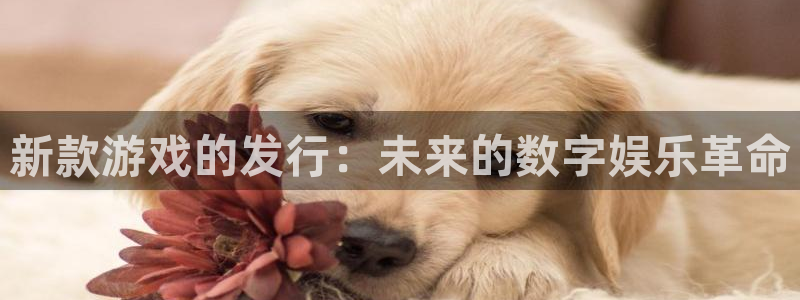 bg大游是什么：新款游戏的发行：未来的数字娱乐革命
