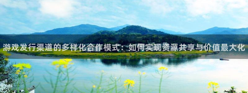 bg大游涂料(北京)有限公司：游戏发行渠道的多样化合作模式：如何实现资源共享与价值最大化