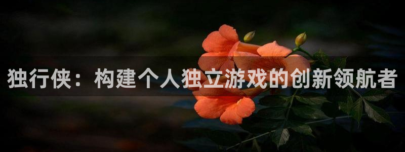 bg大游子教育科技有限公司：独行侠：构建个人独立游戏的创新领航者