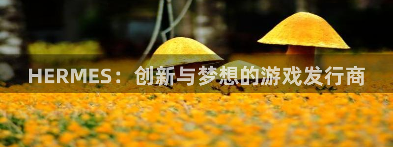 陕西bg大游子文化公司有什么游戏：HERMES：创新与梦想的游戏发行商