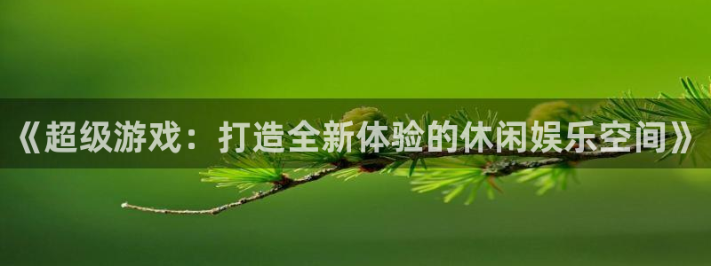 广东bg大游电商bruno