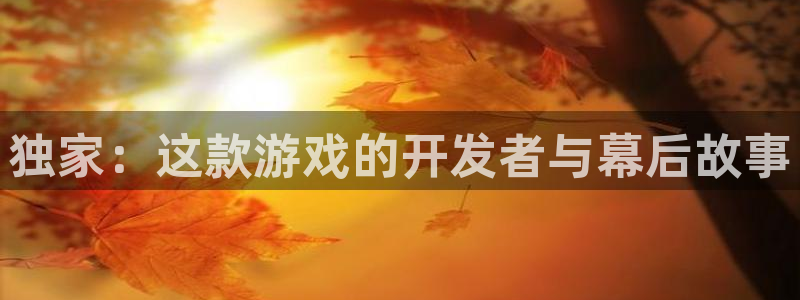 bg大游官网登录注册不了怎么办：独家：这款游戏的开发者与幕后故事