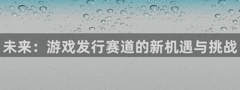 江苏bg大游智得新材料有限公司：未来：游戏发行赛道的新机遇与挑战