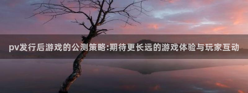 bg大游官网注册方法是什么样的：pv发行后游戏的公测策略:期待更长远的游戏体验与玩家互动