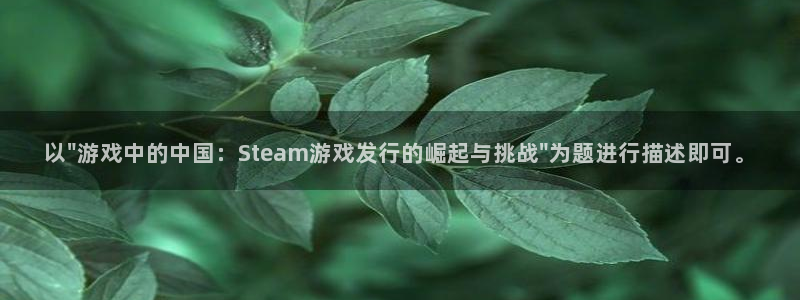 深圳bg大游电商