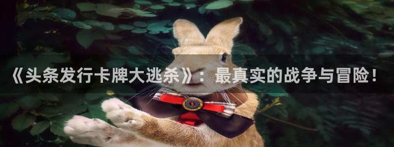 苏州bg大游网络科技有限公司