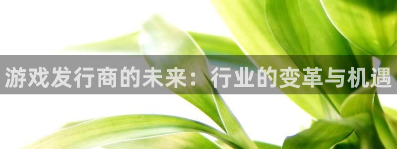 陕西bg大游子文化创意有限公司是做什么的